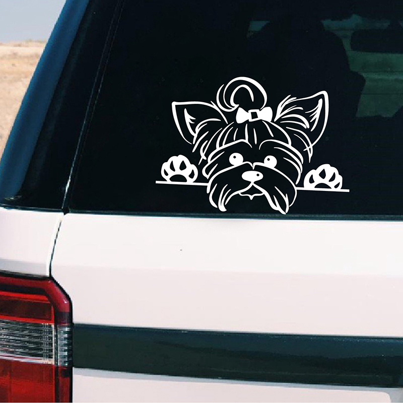 Yorkshire Terrier Vinyl Sticke - Home Office Quotes ulasan dan harga